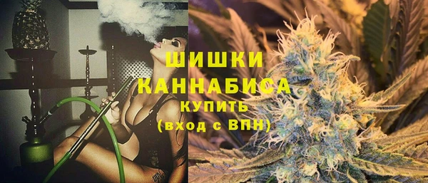 ПСИЛОЦИБИНОВЫЕ ГРИБЫ Михайловск