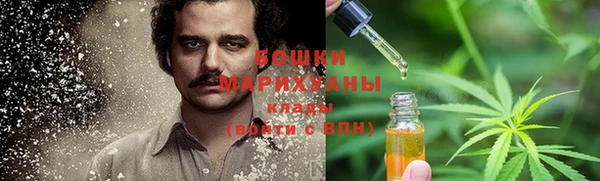 ПСИЛОЦИБИНОВЫЕ ГРИБЫ Михайловск