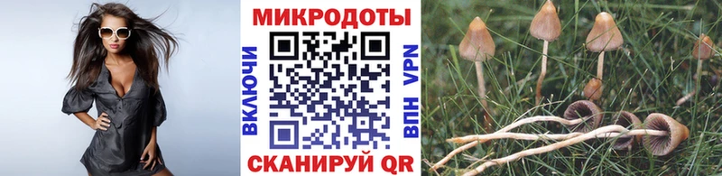Псилоцибиновые грибы прущие грибы Бирюч