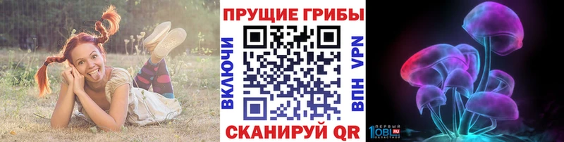 Псилоцибиновые грибы мицелий  Бирюч 
